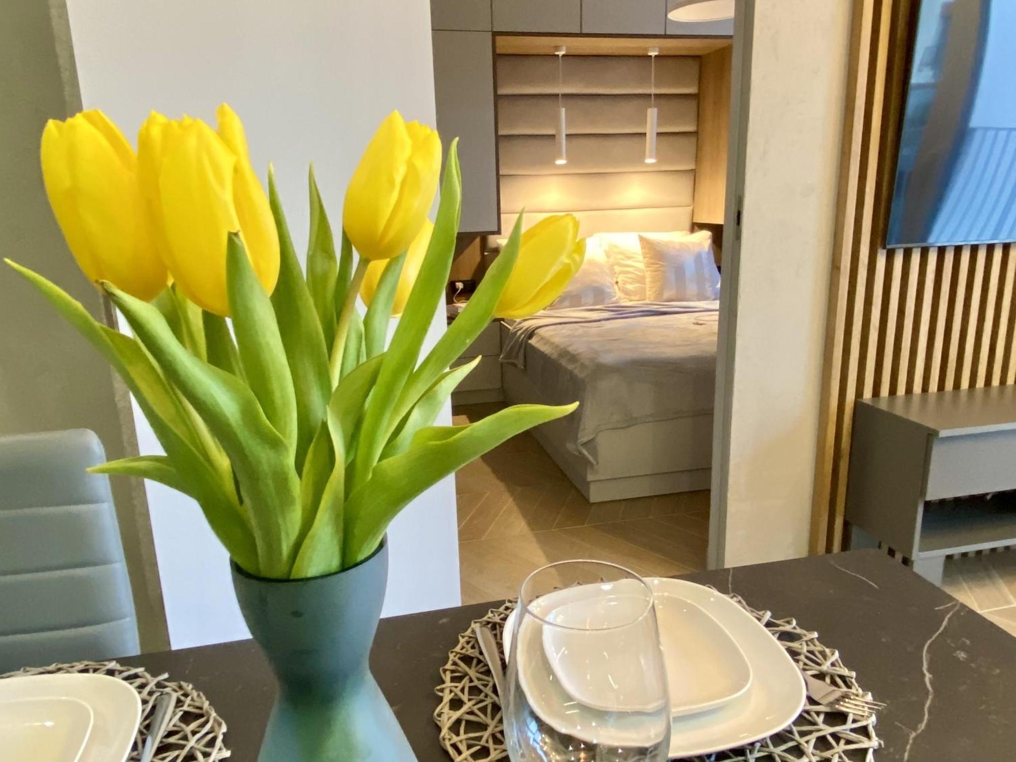 דירות ורוצלב Grey House + Free Parking מראה חיצוני תמונה